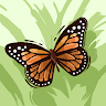 Rose W. avatar